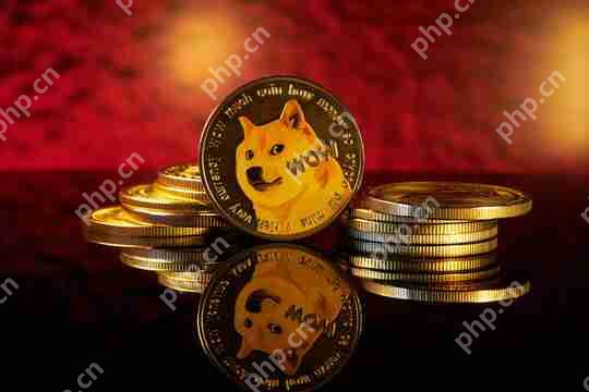 在其忠实投资者社区中，看到Dogecoin交易的梦想仍然存在